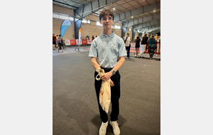 Antoine Marseille (Arbitre) - Albi 2026.