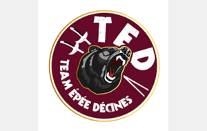 Tournoi Dept M9/M11/M13/M15 et Equip Séniors - Decines.