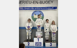 tournois épée M9 M11 - Ambérieu