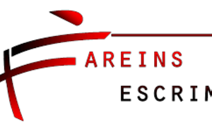 Régionale AURA - Epée Séniors - Fareins ??