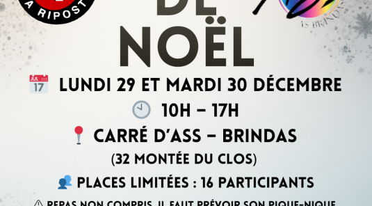 Stage de Noël